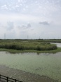 周边杭州湾湿地公园