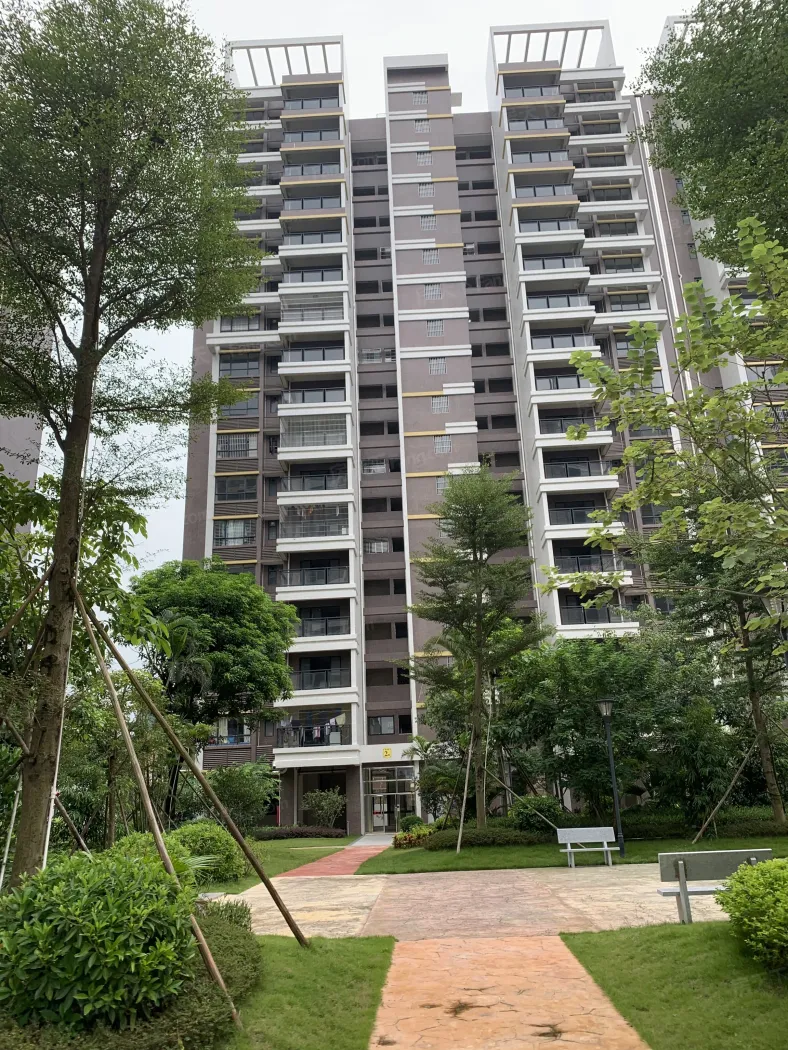 金湖湾-恩平房天下