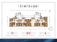 1#楼户型示意图