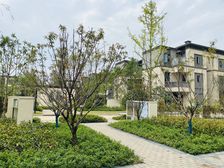 合景梧桐四季 3室2厅 南 北