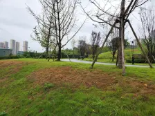 江景平层《吊打照母山老破小》拒绝老破小变传家宝