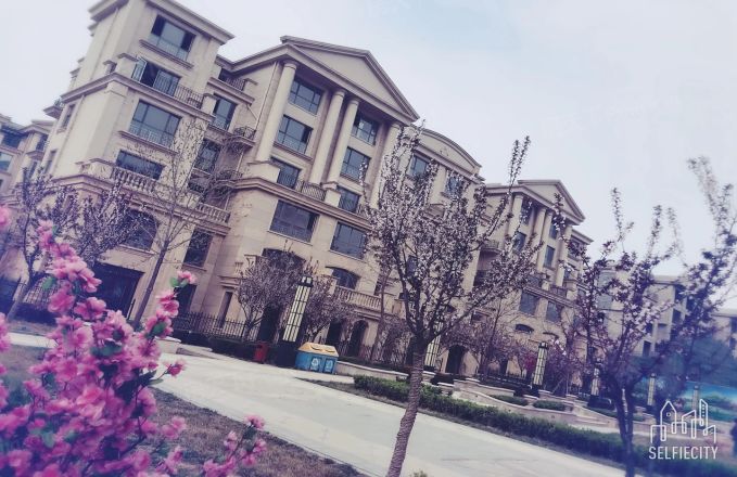 滨湖国际实景图