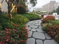 西宸春天4室2厅西南