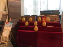 西宸春天4室2厅东