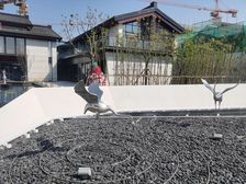 香樟园通透现代户型3室诚意出售爱房随时看房