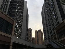 保利星荟 1室1厅 北