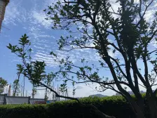 央企品质 龙湖物业 公园 轻轨带花园洋房,揽一江风景