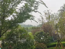 中建3期,售房部后面没那个组团,价格可沟通