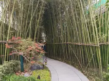 此房手续齐全,格局好,采光好,无遮挡,出行方便