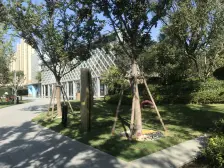 奥体旁 融信望湖宸苑 117平方正三房 出家门入校门