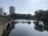 月湖公园