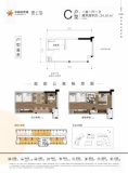 中骏璟公馆户型C