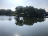 月湖公园实景图