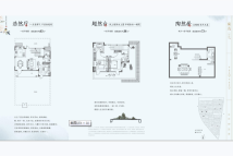 绿城春江明月揽月户型