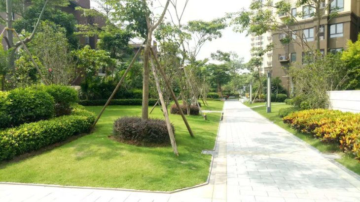 万科花园实景图