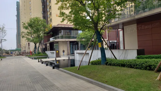 光谷澎湃城奥山府