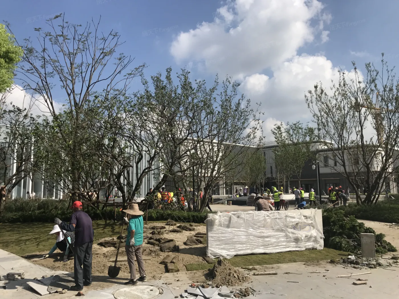实地无锡常春藤