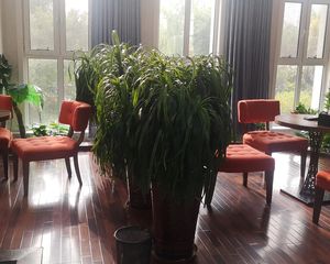 环境好,物业一级棒,国标户型,一楼带40平小院