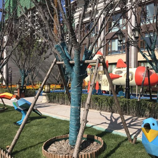  ���ͺ��غ���ø�3��2��2���ϱ�����2500.00Ԫ/�³��� 