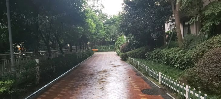 交大绿岭二期实景图