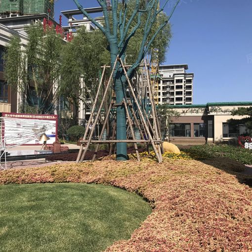  ���ͺ��غ���ø�3��2��2���ϱ�����2100.00Ԫ/�³��� 