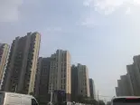 项目实景图