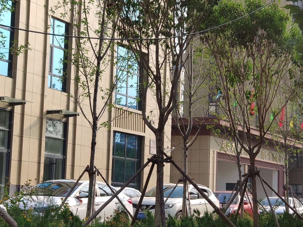 小区相关图