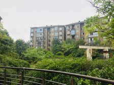 鼎虹城市森邻 4室2厅 南 北