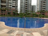 泳池景观