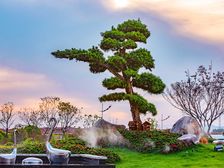 碧桂园凤凰城幸福里 2室2厅 北