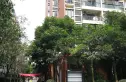 温哥华南苑实景图
