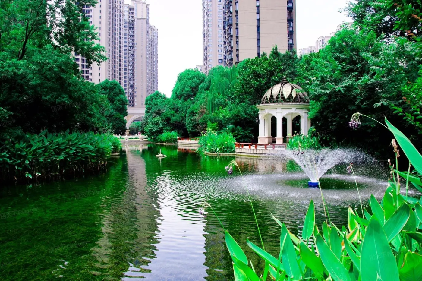  !doctype html>  html>  head>      tit