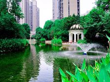 恒大江湾3室1厅南
