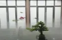 美的碧桂园.观澜府实景图