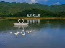 独栋别墅 四面采光 八方来财 全款证在手,安静宜居。