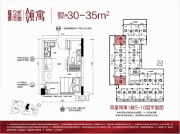 碧桂园凤凰立新领寓建面30.00㎡