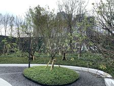 中国铁建西派金沙4室2厅西南