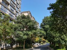 买一层得两层!接近250平的空间!拎包入住!