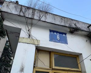 沙湾东一路6号 3室1厅 南 北