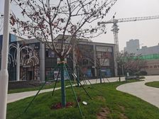 城投碧桂园太白园筑 4室1厅 南