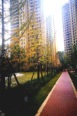 小区环境4