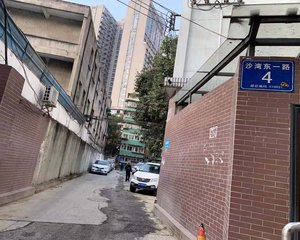 沙湾东一路4号3室1厅南北