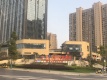 红达星河府周边配套