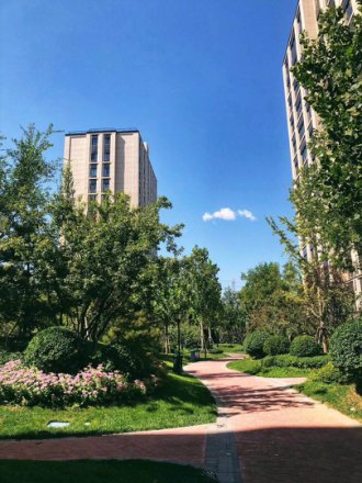 金茂逸墅实景图