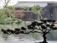 毛坯房 楼栋好 独梯独户 看园林 大平层 私密性好