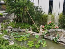 南向通透格局,空中别墅,户型方正实用,自住保养好