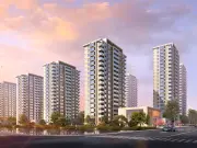 月映华章