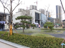 新上118平三室一卫,楼栋南侧无遮挡,交付标准高