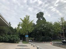 华新花予墅4室2厅南