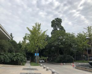 华新花予墅4室2厅南